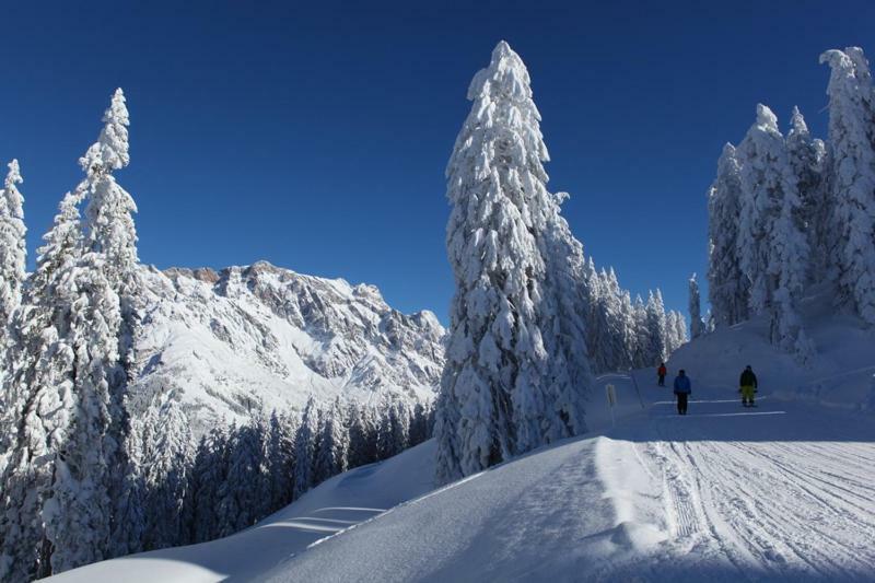 Am Berg 34 Διαμέρισμα Maria Alm am Steinernen Meer Εξωτερικό φωτογραφία